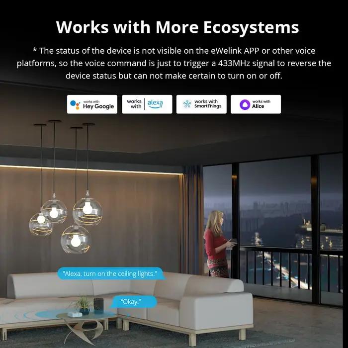 SONOFF RF Bridge R2 433MHz RF Wi-Fi passerelle sans fil scène intelligente prise en charge de la séc