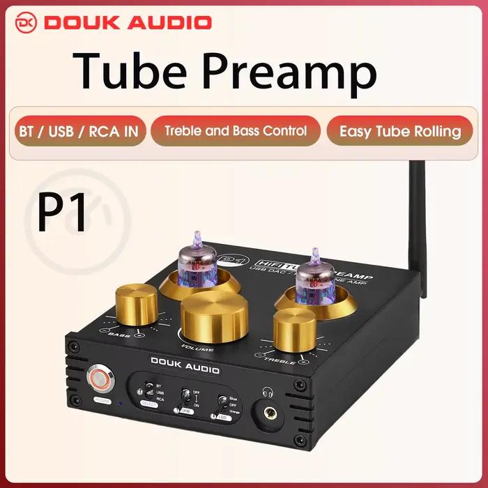 Douk Audio P1 HiFi JAN5725 préampli à Tube sous vide Bluetooth 5.0 récepteur Audio USB DAC amplifica