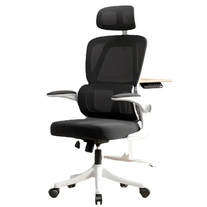Chaise de bureau ergonomique, chaise de bureau confortable pour étudiants avec Support dorsal, chais