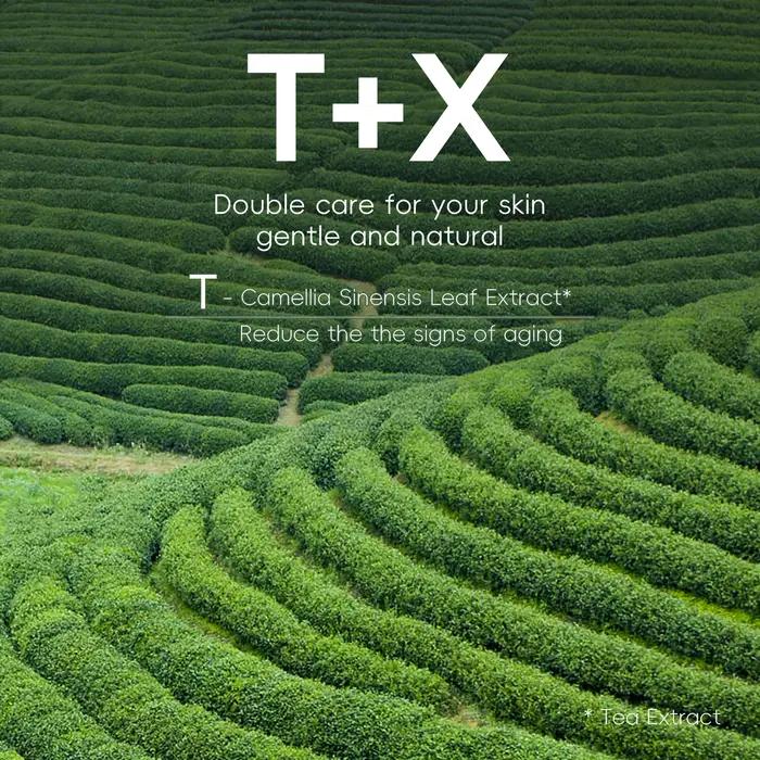 5 pièces/boîte ensemble de soins de la peau thé vert nettoyant pour le visage apaise la peau visage